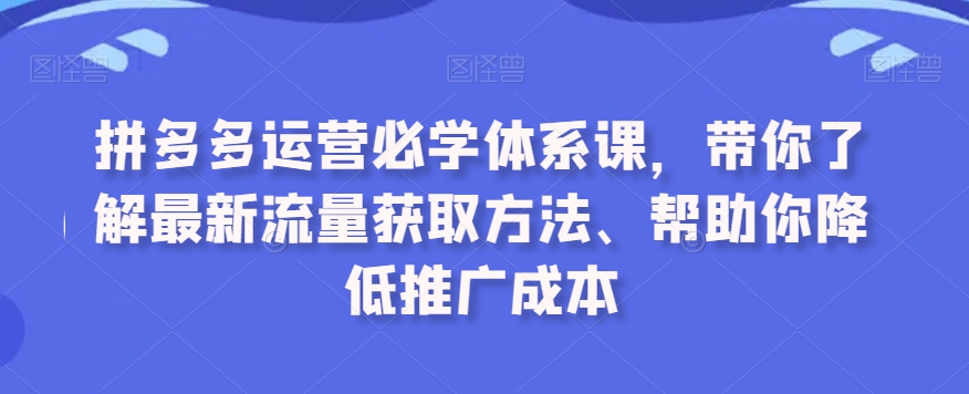 拼多多运营必学体系课,带你了解最新流量获取方法、帮助你降低推广成本-则成副业项目资源站