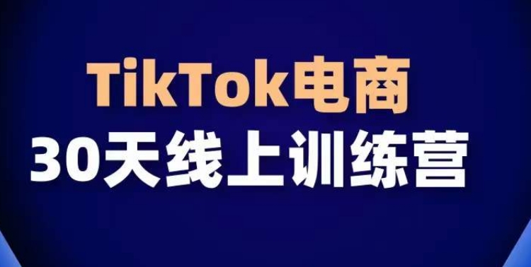 TikTok电商带货30天线上课，不可错过的全球流量洼地！-则成副业项目资源站