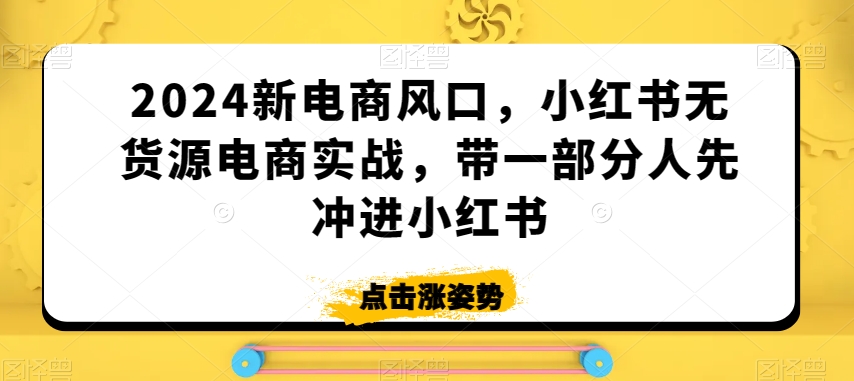 2024新电商风口，小红书无货源电商实战，带一部分人先冲进小红书-则成副业项目资源站