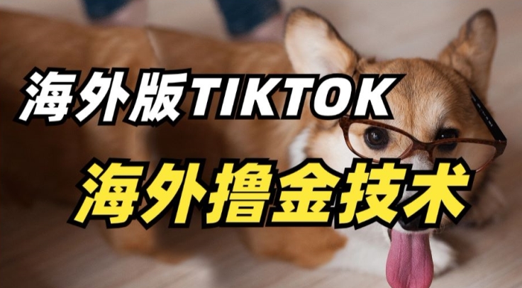 抖音海外版tiktok撸金技术,这个风口行业,赚钱真的不难【揭秘】-则成副业项目资源站