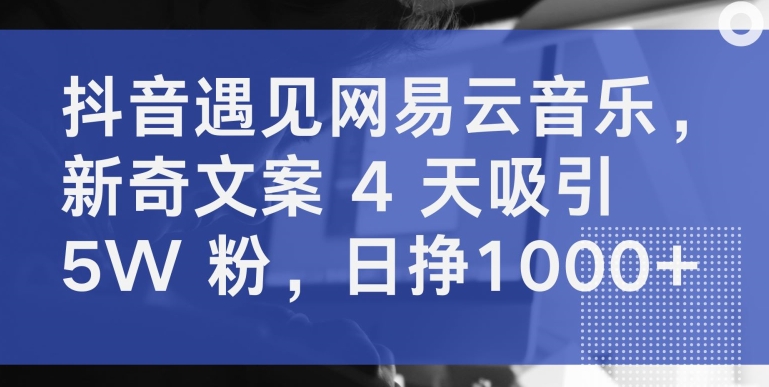 抖音遇见网易云音乐,新奇文案 4 天吸引 5W 粉,日挣1000+【揭秘】-则成副业项目资源站