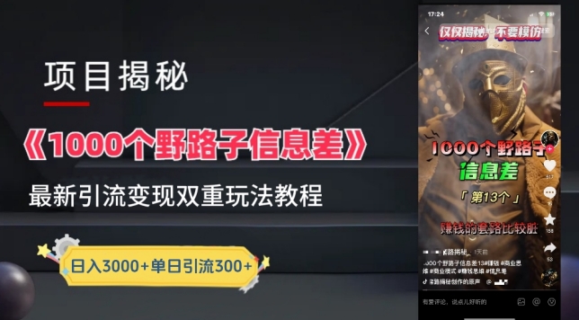 一千个野路子信息差最新玩法教程-变现+引流的玩法具体拆解【揭秘】-则成副业项目资源站