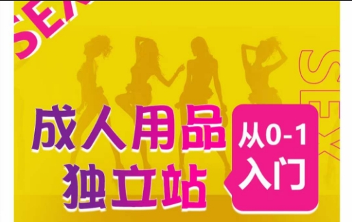 成人用品独立站从0-1入门，成品独立站运营全流程教学，七大好卖成品独立站推荐-则成副业项目资源站