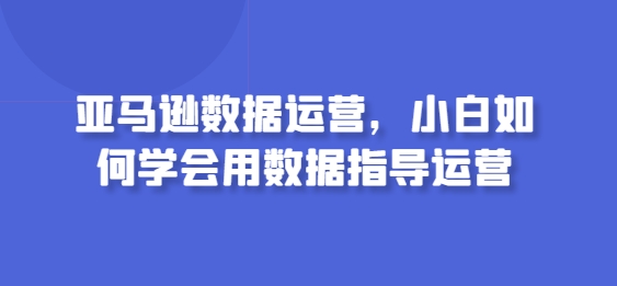 亚马逊数据运营,小白如何学会用数据指导运营-则成副业项目资源站