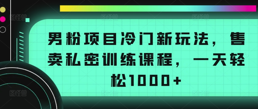 男粉项目冷门新玩法，售卖私密训练课程，一天轻松1000+【揭秘】-则成副业项目资源站