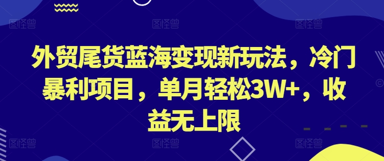 外贸尾货蓝海变现新玩法，冷门暴利项目，单月轻松3W+，收益无上限【揭秘】-则成副业项目资源站
