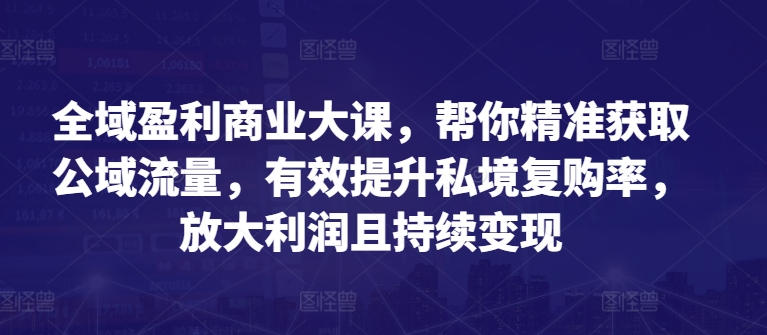 全域盈利商业大课,帮你精准获取公域流量,有效提升私境复购率,放大利润且持续变现-则成副业项目资源站
