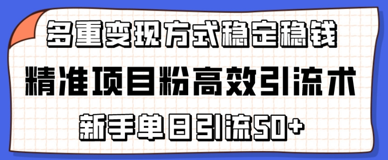 精准项目粉高效引流术，新手单日引流50+，多重变现方式稳定赚钱【揭秘】-则成副业项目资源站