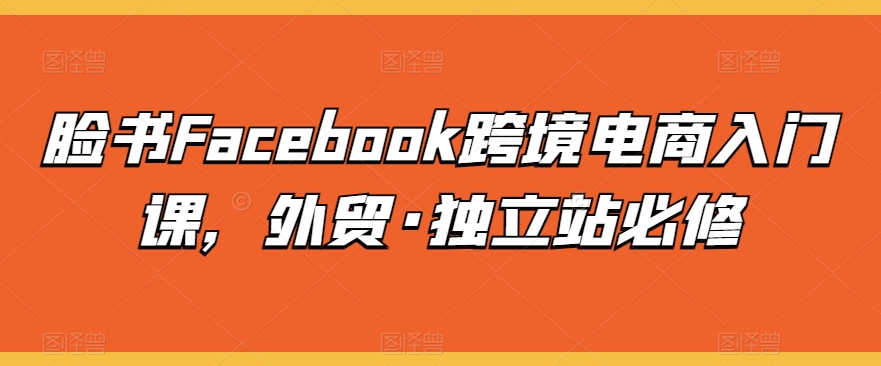 脸书Facebook跨境电商入门课,外贸·独立站必修-则成副业项目资源站