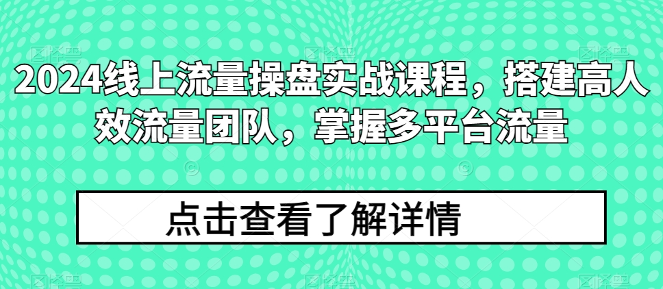 2024线上流量操盘实战课程，搭建高人效流量团队，掌握多平台流量-则成副业项目资源站