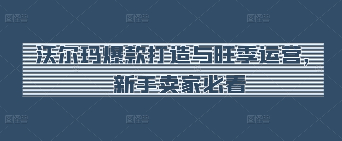 沃尔玛爆款打造与旺季运营，新手卖家必看-则成副业项目资源站