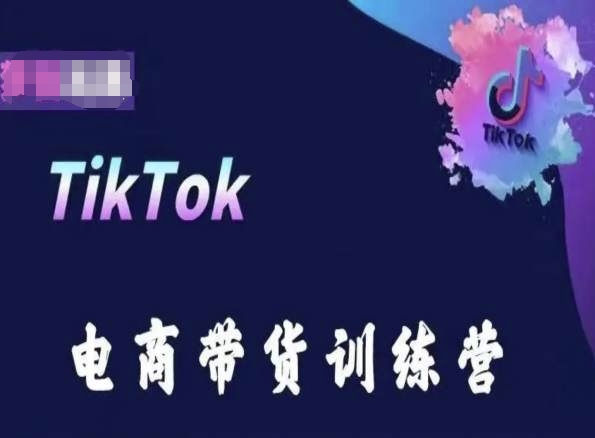 TikTok电商带货训练营,跟随时代潮流,跨境掘金-则成副业项目资源站