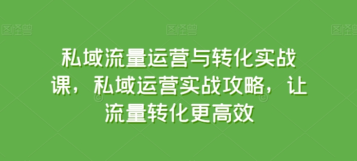 私域流量运营与转化实战课,私域运营实战攻略,让流量转化更高效-则成副业项目资源站