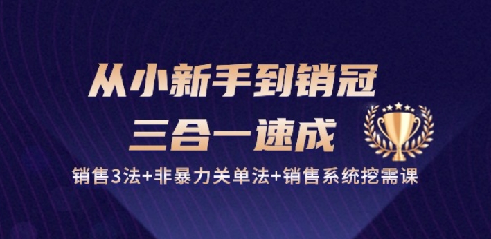 从小新手到销冠 三合一速成:销售3法+非暴力关单法+销售系统挖需课 (27节)-则成副业项目资源站