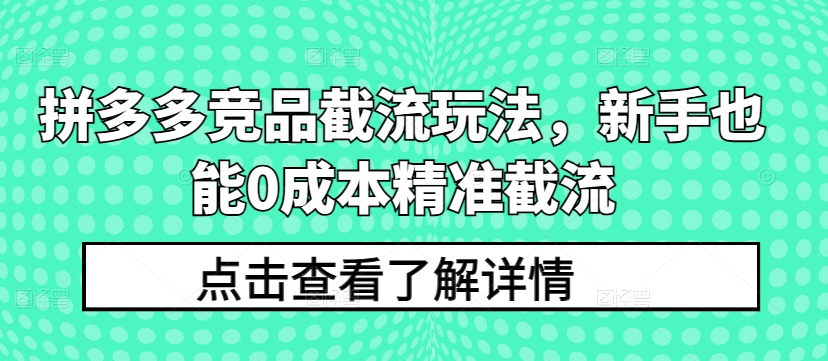 拼多多竞品截流玩法,新手也能0成本精准截流-则成副业项目资源站
