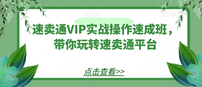 速卖通VIP实战操作速成班，带你玩转速卖通平台-则成副业项目资源站