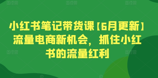 小红书笔记带货课【6月更新】流量电商新机会,抓住小红书的流量红利-则成副业项目资源站