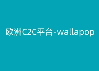 欧洲C2C平台-wallapop-kim跨境电商教程-则成副业项目资源站