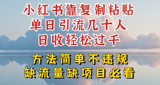 小红书靠复制粘贴单日引流几十人目收轻松过千，方法简单不违规【揭秘】-则成副业项目资源站