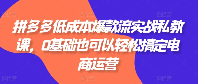 拼多多低成本爆款流实战私教课，0基础也可以轻松搞定电商运营-则成副业项目资源站