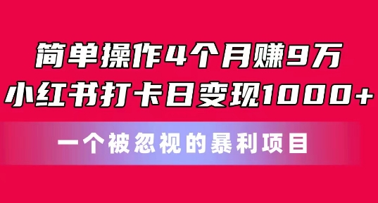 简单操作4个月赚9w，小红书打卡日变现1k，一个被忽视的暴力项目【揭秘】-则成副业项目资源站