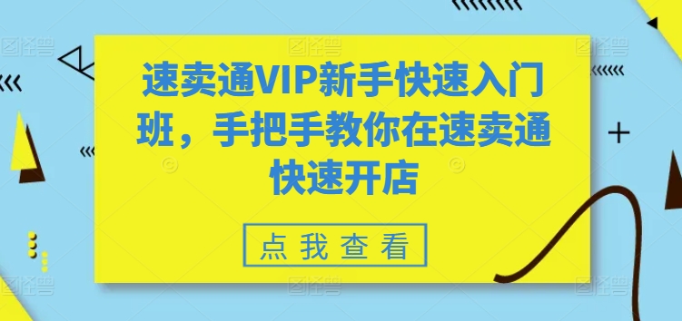速卖通VIP新手快速入门班,手把手教你在速卖通快速开店-则成副业项目资源站