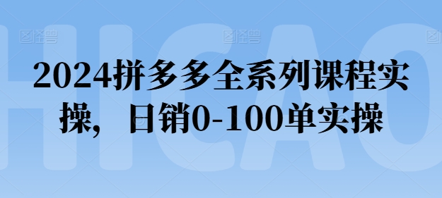2024拼多多全系列课程实操,日销0-100单实操【必看】-则成副业项目资源站