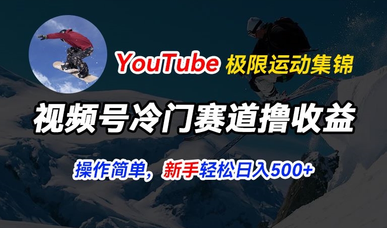 视频号冷门赛道撸收益,YouTube搬运极限运动集锦,暴力起号,操作简单流量高,轻松日入5张【揭秘】-则成副业项目资源站