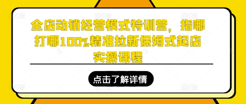 全店动销经营模式特训营，指哪打哪100%精准拉新保姆式起店实操课程-则成副业项目资源站