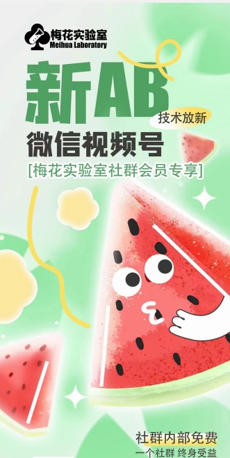 梅花实验室2024年AB技术视频号AB合成破解版-则成副业项目资源站