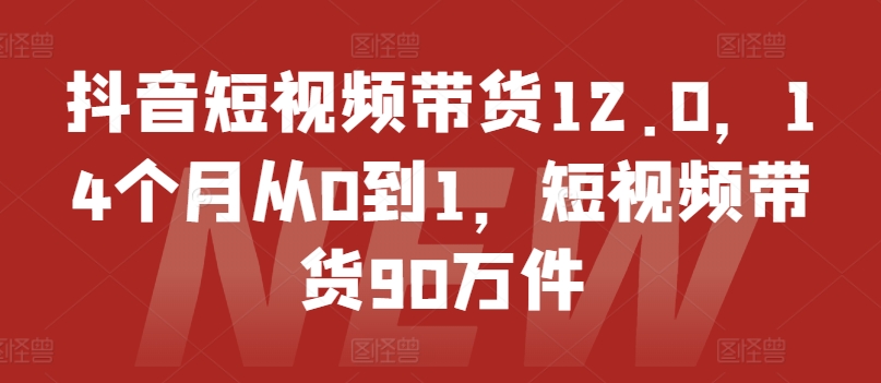 抖音短视频带货12.0，14个月从0到1，短视频带货90万件-则成副业项目资源站