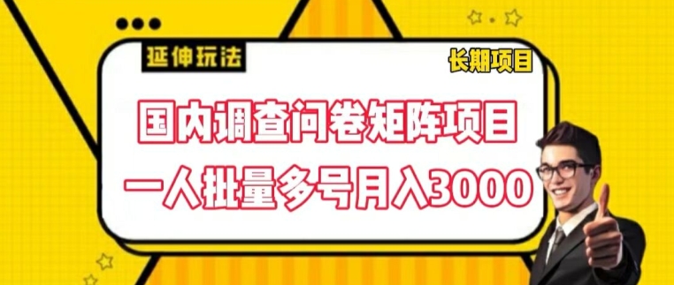 国内调查问卷矩阵项目，一人批量多号月入3000【揭秘】-则成副业项目资源站
