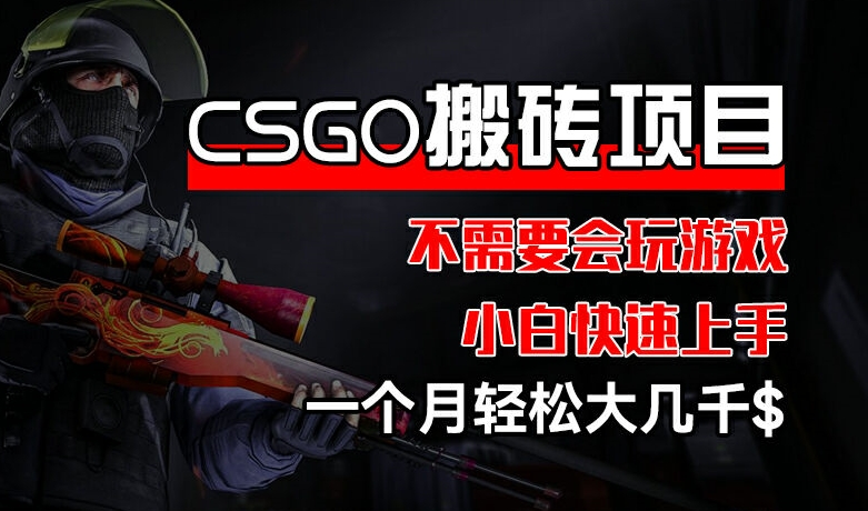 CSGO 装备搬砖项目,操作简单,不需要会玩游戏,小白也能快速上手,一个月轻松大几千【揭秘】-则成副业项目资源站