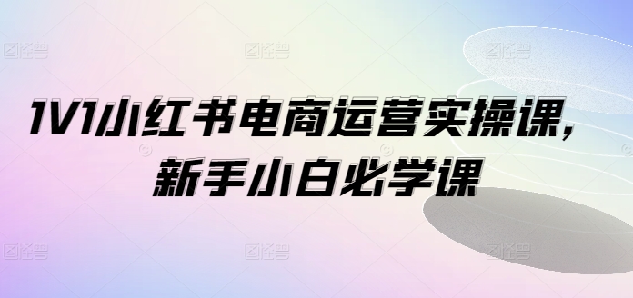 1V1小红书电商运营实操课，新手小白必学课-则成副业项目资源站
