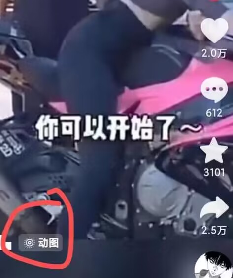 2024年7月苹果手机动图搬运技术-则成副业项目资源站