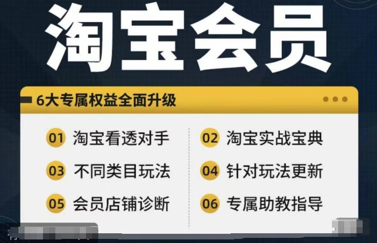淘宝会员【淘宝所有课程,全面分析对手】,初级到高手全系实战宝典-则成副业项目资源站