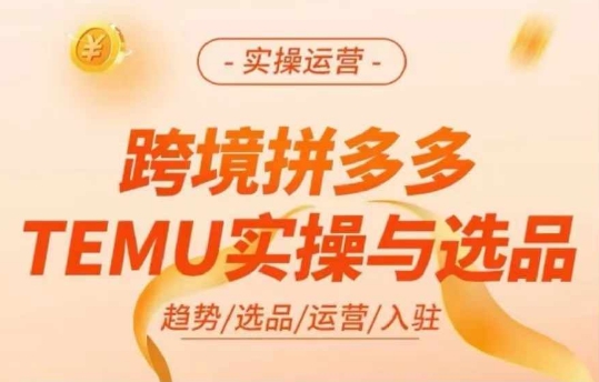 跨境拼多多TEMU实操与选品，多多temu跨境选品运营实操-则成副业项目资源站