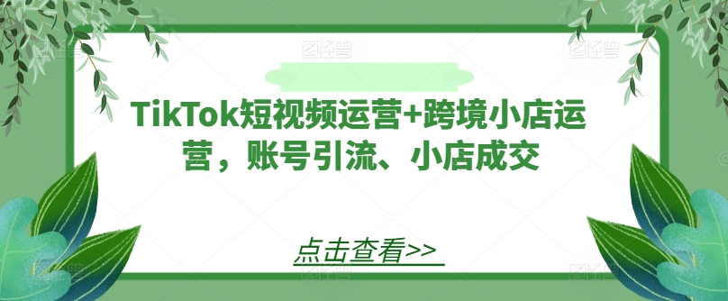 TikTok短视频运营+跨境小店运营，账号引流、小店成交-则成副业项目资源站
