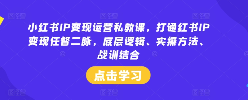 小红书IP变现运营私教课,打通红书IP变现任督二脉,底层逻辑、实操方法、战训结合-则成副业项目资源站