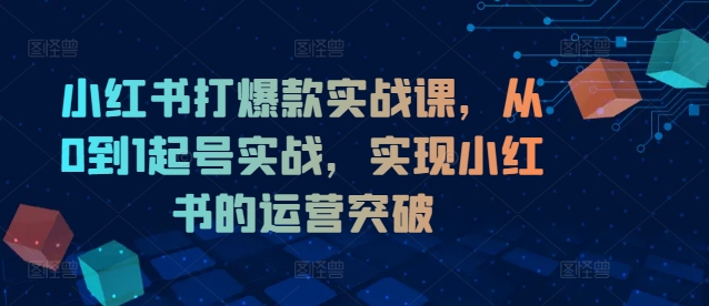 小红书打爆款实战课,从0到1起号实战,实现小红书的运营突破-则成副业项目资源站