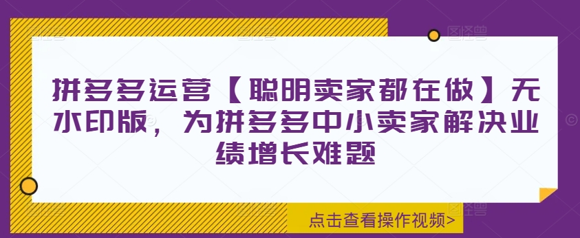 拼多多运营【聪明卖家都在做】无水印版,为拼多多中小卖家解决业绩增长难题-则成副业项目资源站