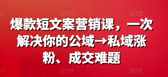爆款短文案营销课，一次解决你的公域→私域涨粉、成交难题-则成副业项目资源站