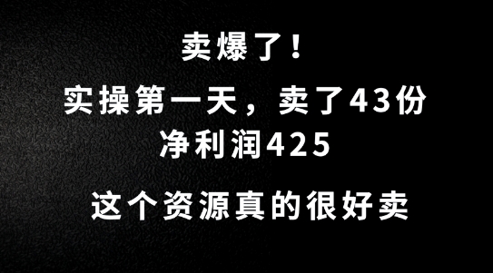 这个资源，需求很大，实操第一天卖了43份，净利润425【揭秘】-则成副业项目资源站