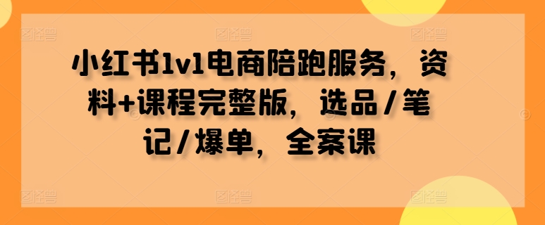 小红书1v1电商陪跑服务，资料+课程完整版，选品/笔记/爆单，全案课-则成副业项目资源站