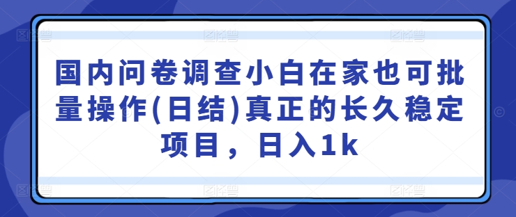 国内问卷调查小白在家也可批量操作(日结)真正的长久稳定项目,日入1k【揭秘】-则成副业项目资源站