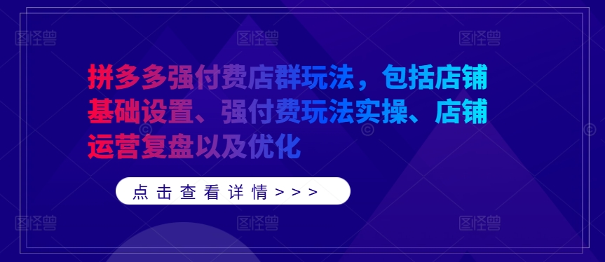 拼多多强付费店群玩法,包括店铺基础设置、强付费玩法实操、店铺运营复盘以及优化-则成副业项目资源站