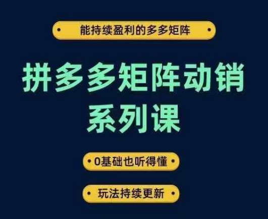 拼多多矩阵动销系列课，能持续盈利的多多矩阵，0基础也听得懂，玩法持续更新-则成副业项目资源站