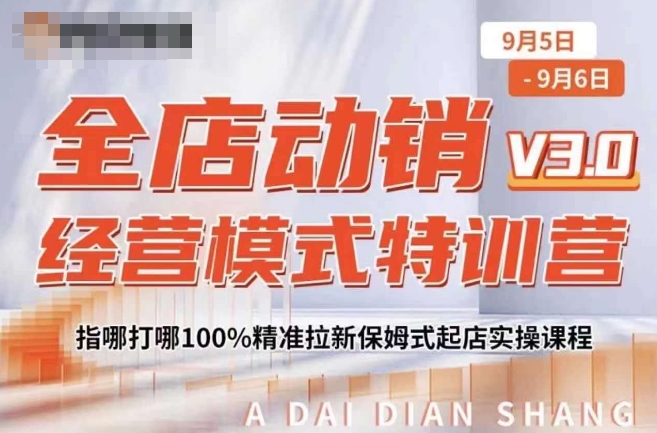 全店动销经营模式特训营,指哪打哪100%精准拉新保姆式起店实操课程-则成副业项目资源站