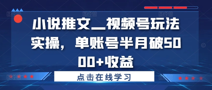 小说推文—视频号玩法实操，单账号半月破5000+收益-则成副业项目资源站