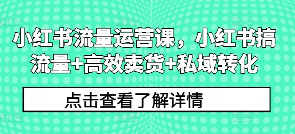 小红书流量运营课，小红书搞流量+高效卖货+私域转化-则成副业项目资源站